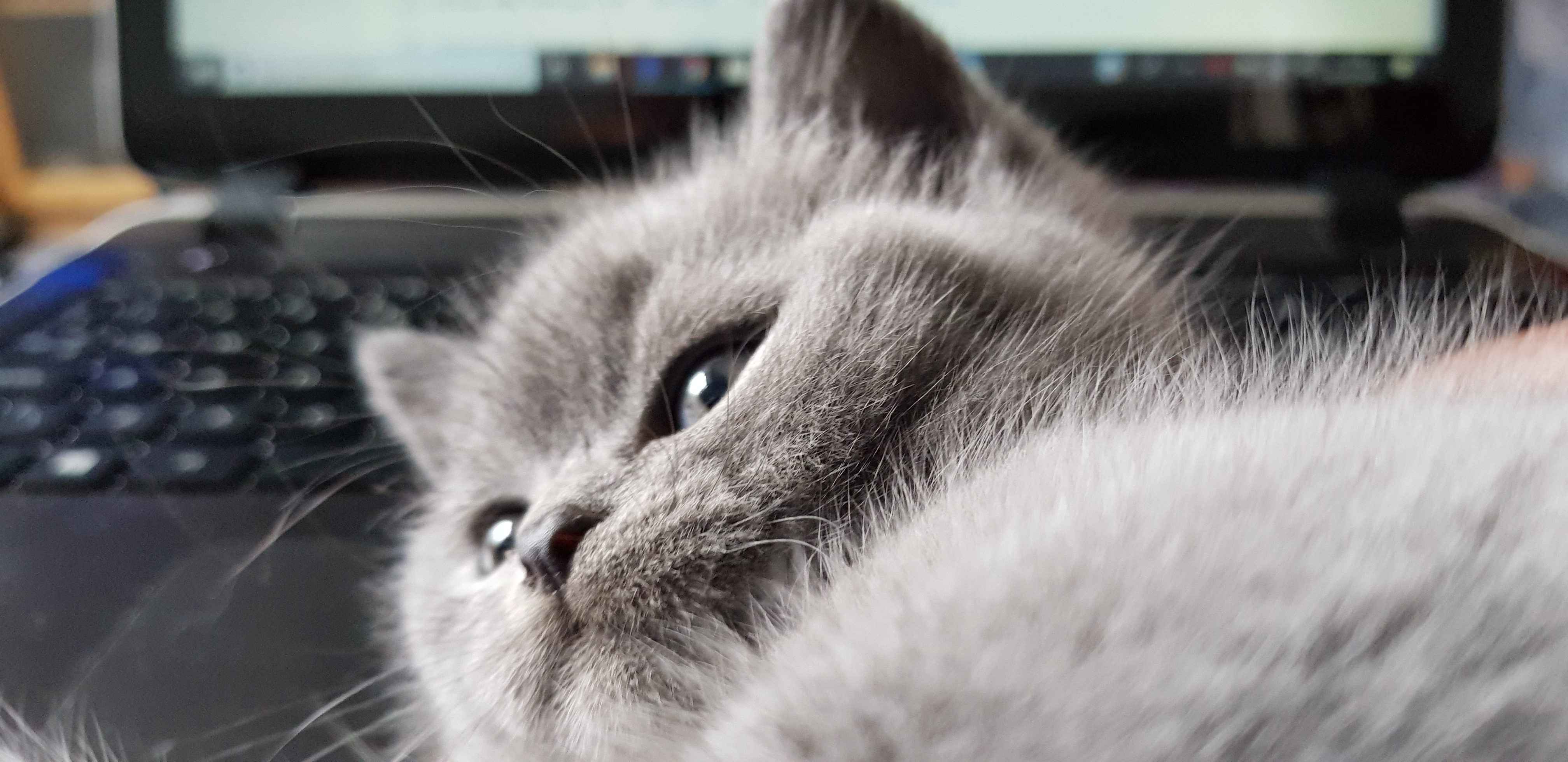 page-header