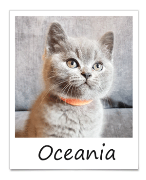 aug-2019-oceania