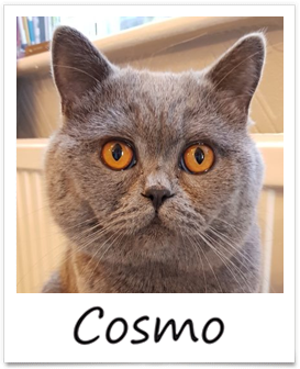 cosmo-w9