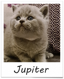 Jupiter